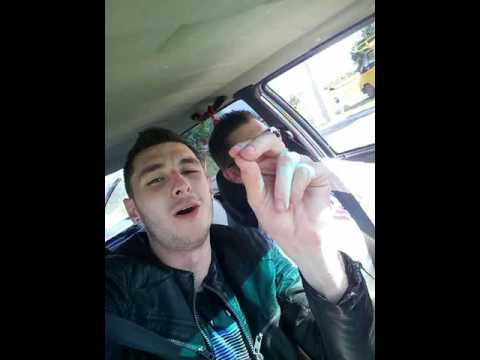 Stojan Cekic i ja uz muziku putujemo prema Gradisci