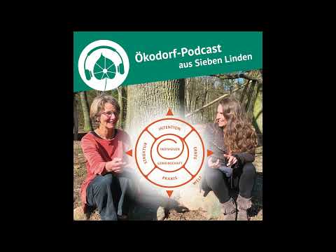 Folge 34: 5 Fehler, die Gruppen vermeiden können. Mit Eva Stützel und dem Gemeinschaftskompass