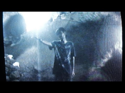 S4EED - Butterfly Memories (Dir.by @666kt)