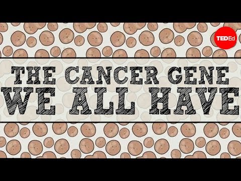 TED-Ed: We All Have a Cancer Gene