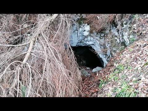 Altbergbau: zwischen Türnitz und Schwarzenbach - nördlicher Stollen  im "Maria Theresia Schurf"