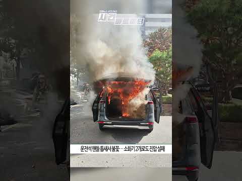 “시동 40초 만에 불붙은 카니발” 제조사는 ‘거리 초과’만_카니발 4세대 21년 7월 출고 디젤 / 9인승 / 61,888km 주행