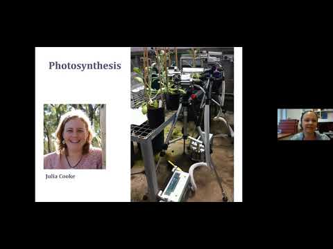 An Evolution Revolution: The rapid evolution of an introduced plant