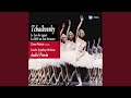Swan Lake, Op. 20, Act II: No. 14, Scene. Moderato