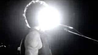 JAGUARES-ENTRE TUS JARDINES - JAGUARES