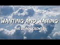 The Black Crowes - Wanting and Waiting (Lyrics)