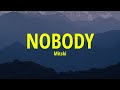 Mitski - Nobody (Lyrics) 