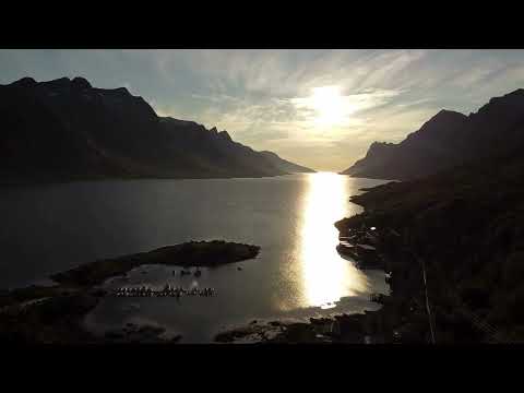 DER RUF DES NORDENS | Celtic Neoclassical Orchestral Build-Up #celticmusic #nordicmusic