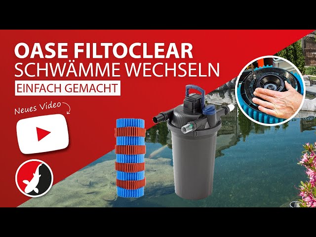 Video Teaser für Oase Filtoclear Schwämme wechseln einfach gemacht!