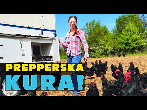 „Prepperska kura” 🐔 – Regeneratywne rolnictwo i niezależność żywnościowa | Zuzanna Szmidel 2025