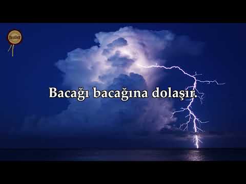 Böyle bir Kıyamet Suresi dinlemediniz! Nasser al Qatami