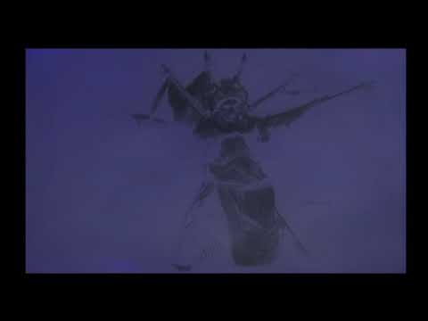 真・三國無双2