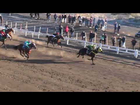 REINA BALERA  Club Hípico Añelo - Añelo - 16-07-2023