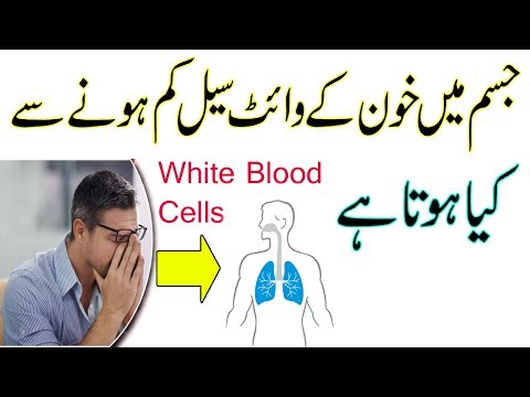 Khoon Mein White Cells Ki Kami Ka Ilaj | Kamzori Ka Nuskha | How To Increase White Blood Cells