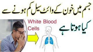 Khoon Mein White Cells Ki Kami Ka Ilaj | Kamzori Ka Nuskha | How To Increase White Blood Cells