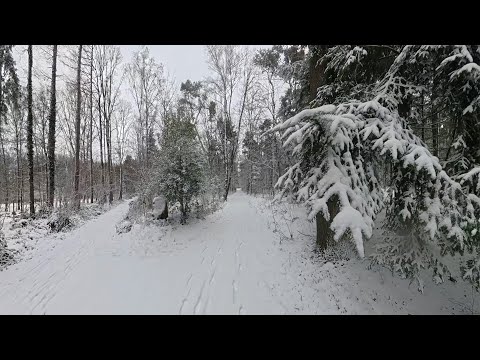 Winter fun in the Bocholt city forest ❄️🌲