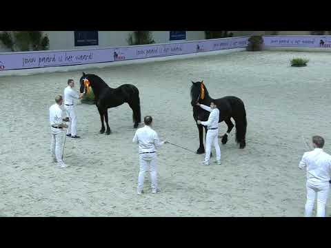 HK2021 Ereronde rubriek 8