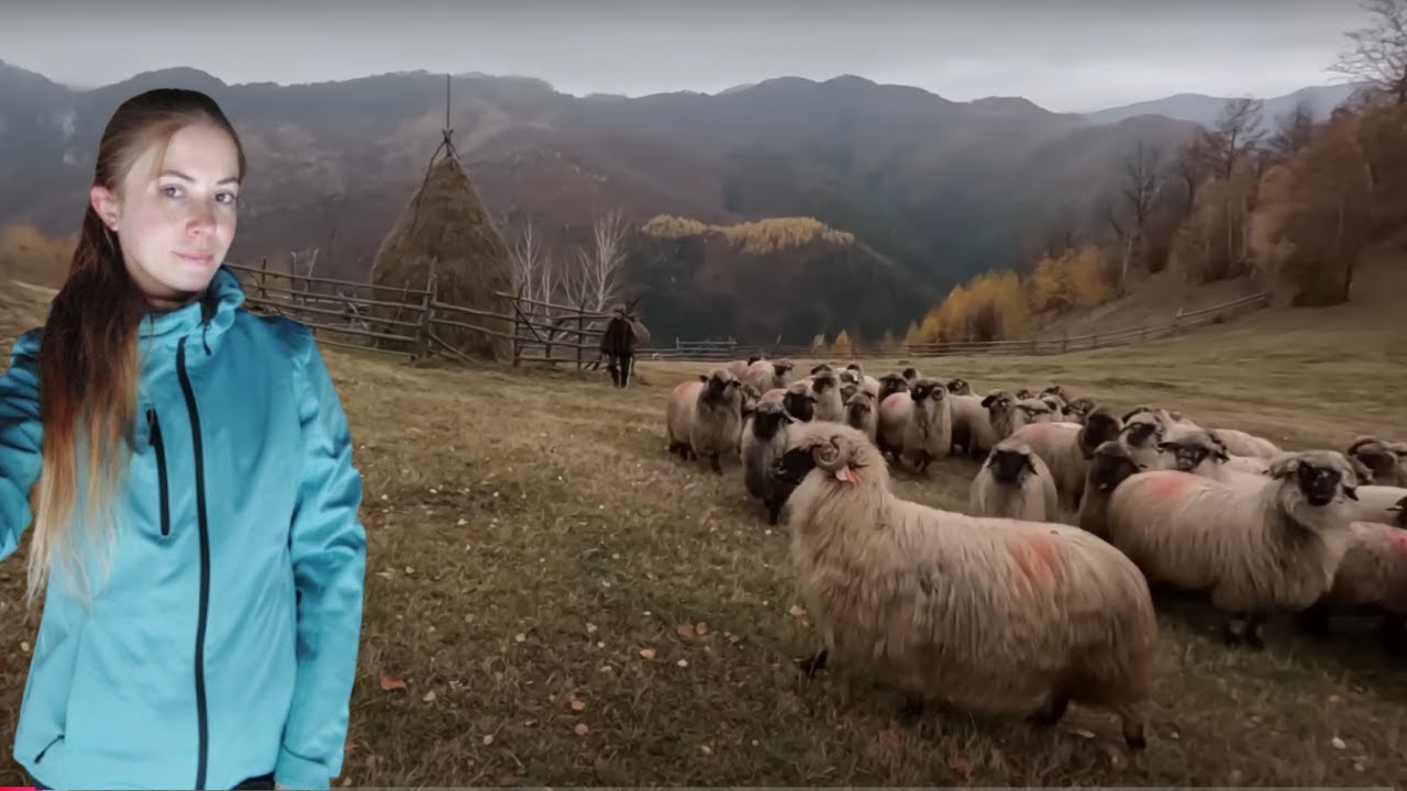 Catunul unde mi-as dori sa traiesc