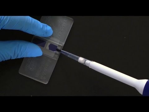 Counting Cells with a Hemocytometer