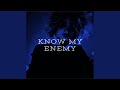 Know My Enemy