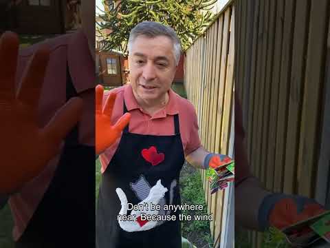 The season has started in the garden, we are planting pepper and zucchini🍒☘️🍎🌳