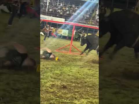 Canadiense volvió a nacer en Parrita de Puntarenas #nacerdenuevo #peligro #viral