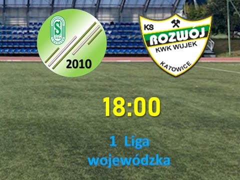 Stadion Śląski 2010 - Rozwój Katowice 2010 - 1 liga - 1:3