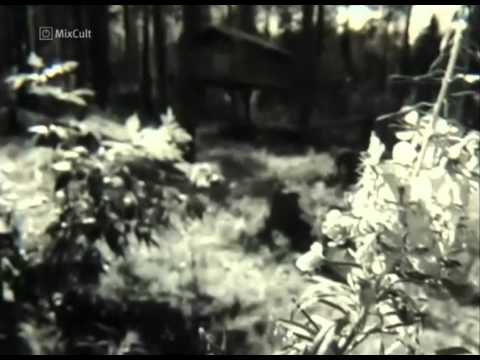 MixCult Podcast # 083 Kirill Matveev - Aerostat