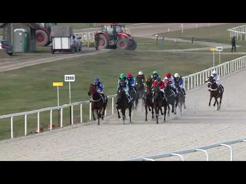 20201213 02. futam - KÖNIG RÓBERT EMLÉKVERSENY – NYERETLEN KÉTÉVESEK VERSENYE (IV.kat.) (sz. pálya)