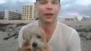 True dog love