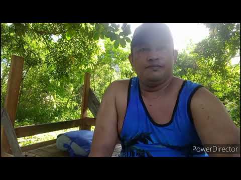 created new guard house using epil epil trees