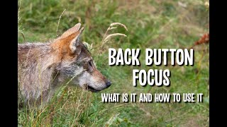 Back button focus - what is it and how to use it.