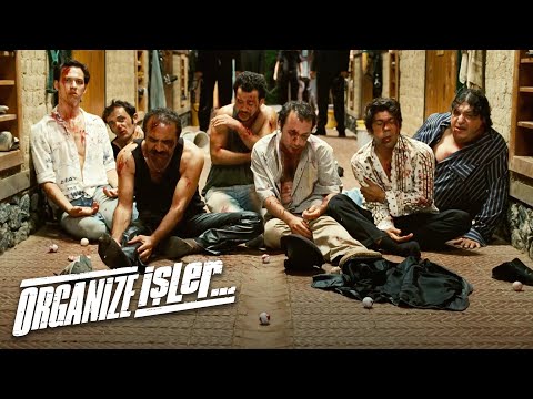 Dayak Nedir Neden Atılır? | Organize İşler