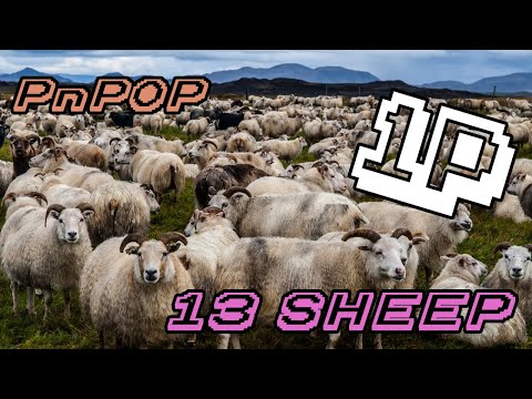 How to Play 13 Sheep