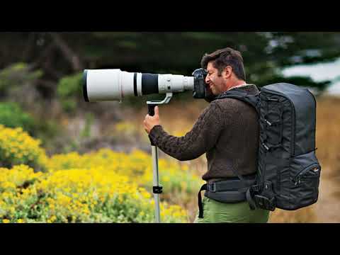 Top 10 Essential Photography Gear For Wildlife Photography
