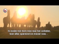 Fryslân DOK trailer: Sykje nei de Boarn(e) NEDERLANDS (ondertiteld)