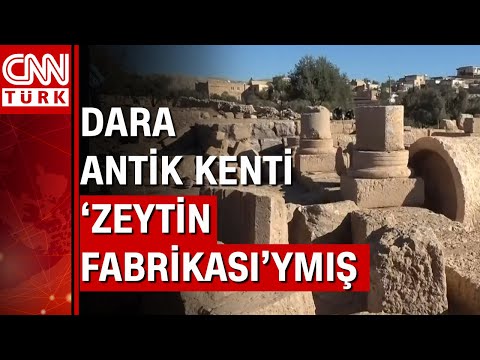 Dara'dan tarih fışkırmaya devam ediyor! Dara Antik Kenti zeytin üretim ve ticaret merkeziymiş