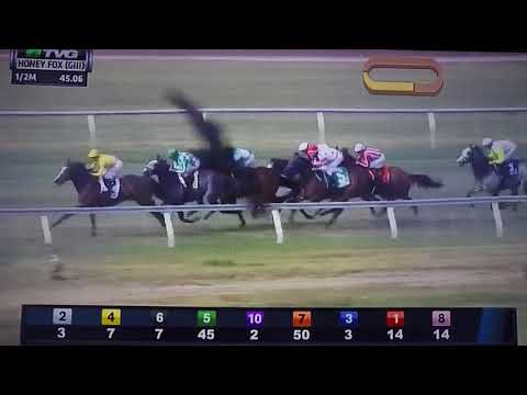 HONEY FOX (G 3) STAKES 3/31/18 - LULL !!
