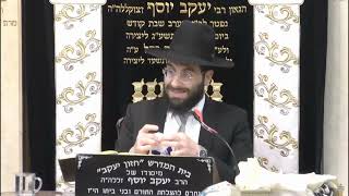 הרב משה יוסף • המשך הלכות קשירת ציצית
