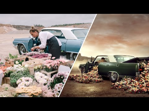 download lagu mp3 mp4 Martin Stranka Photography, download lagu Martin Stranka Photography gratis, unduh video klip Martin Stranka Photography