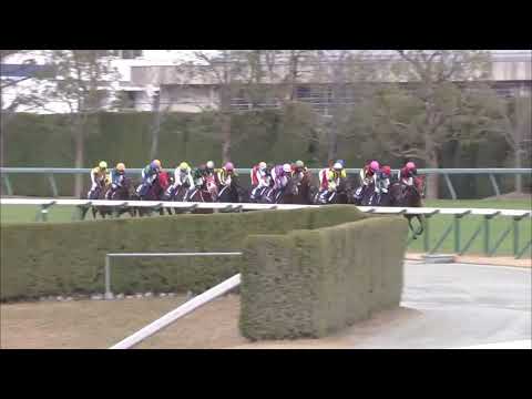 2017.12.10 Hanshin Juvenile Fillies (JPN) - Lucky Lilac