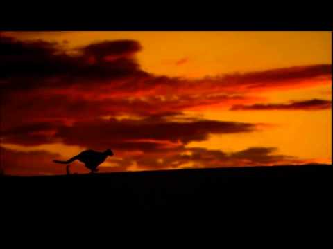 Valinox & 50Hz Masterz-Hold Me feat. La Gioia(Video Edit)