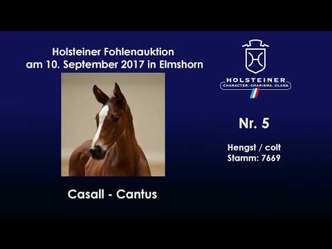 Nr. 5 v. Casall - Cantus