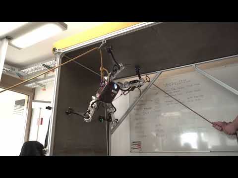 Magnecko Review Video 2