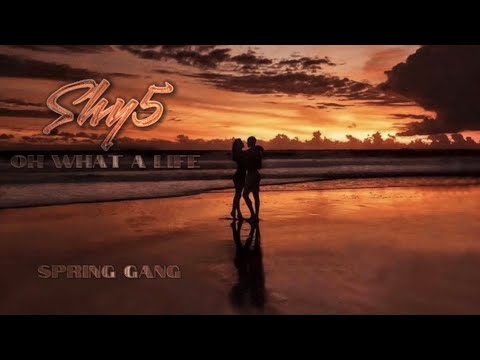 Spring Gang Feat. Shy5 - Oh What a Life