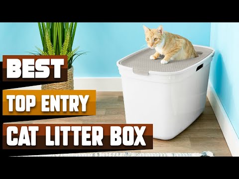 Best Top Entry Cat Litter Box In 2022 - Top 10 Top Entry Cat Litter Boxes Review