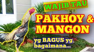 Download lagu begini ciri - ciri P4KHOY dan M4NGON yg bagus. PENGHOBI WAJIB TAU... mp3 Download lagu begini ciri - ciri P4KHOY dan M4NGON yg bagus. PENGHOBI WAJIB TAU... mp3