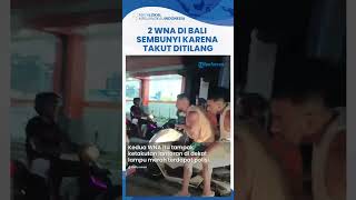Viral Video 2 WNA di Bali Sembunyi di Samping Mobil, Takut Ditilang Gegara Tak Pakai Helm