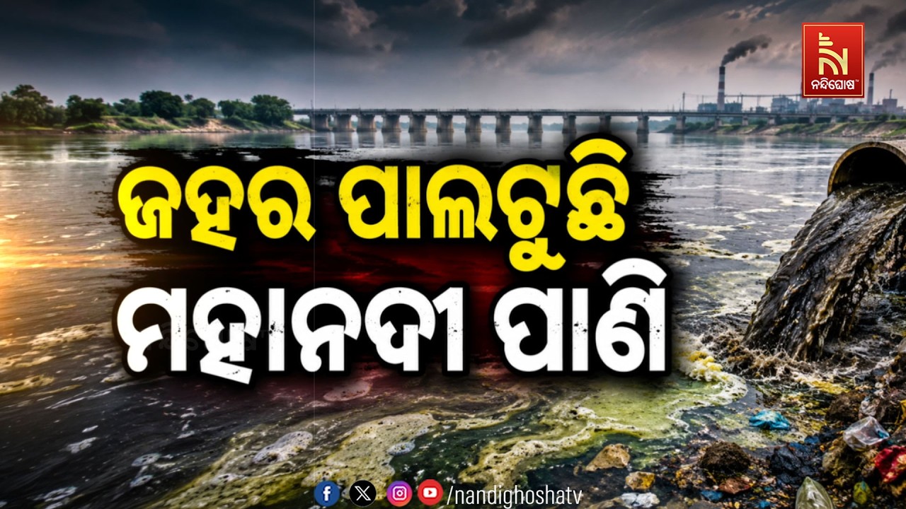🔴 Live | ଜହର ପାଲଟୁଛି ମହାନଦୀ ପାଣି