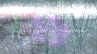 Blossom - Alazka Lyrics video // EDIT